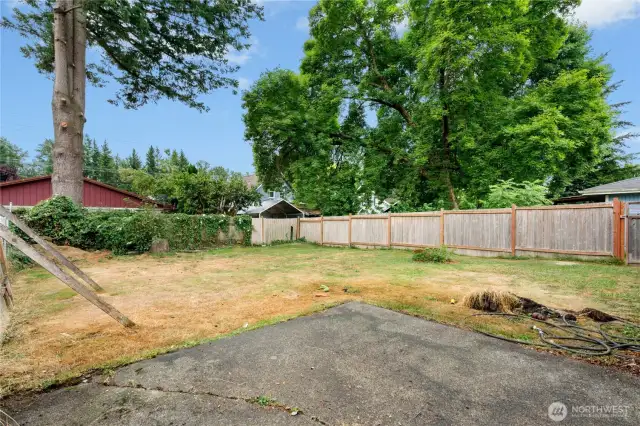 Backyard
