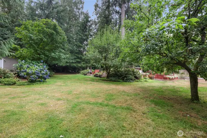 Large back yard that has a park like feel