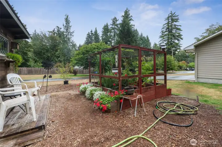 Another view of the garden area