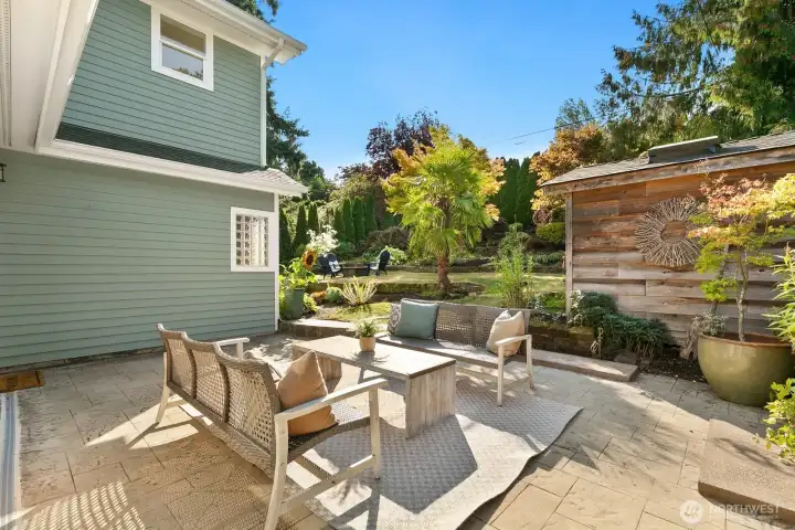Backyard & patio