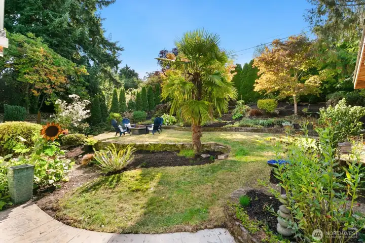 Backyard & patio