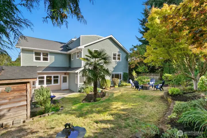 Backyard & patio