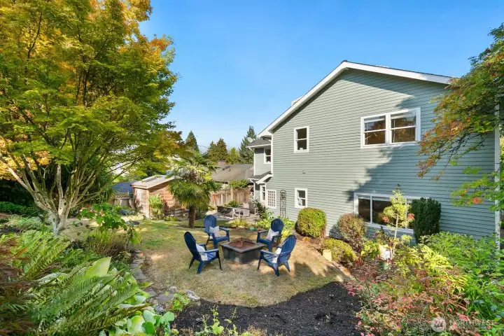 Backyard & patio