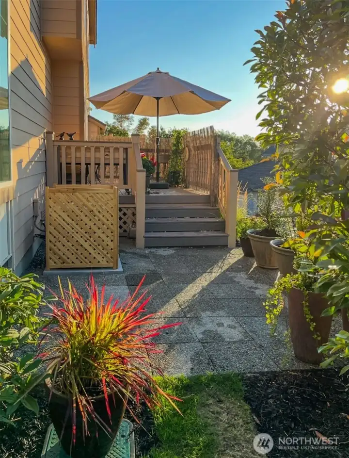 Summer Morning on the Deck