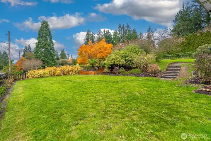 All the space you want and need.