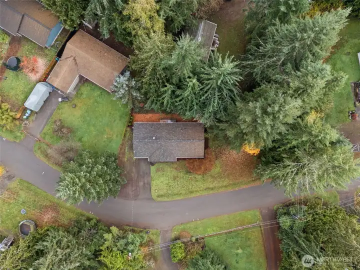 Desirable corner lot