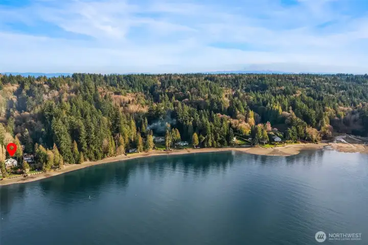 Fern Cove/Mount Rainier