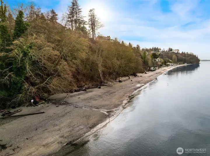 A little stroll with furry friends?