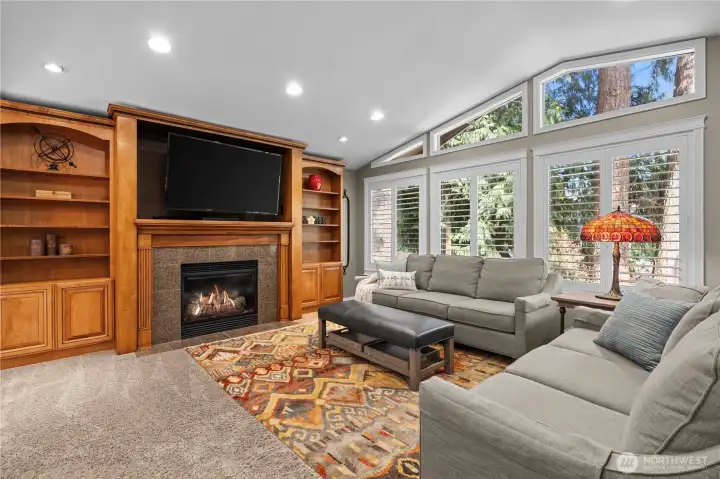 Cozy gas fireplace in living room