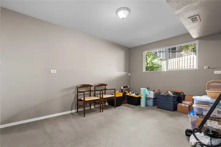 extra bonus/flex room in basement