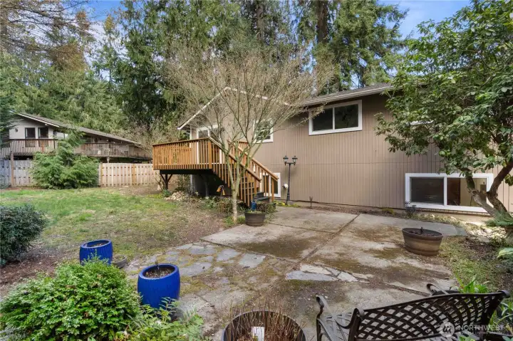 back of home with 5 grafted pear tree