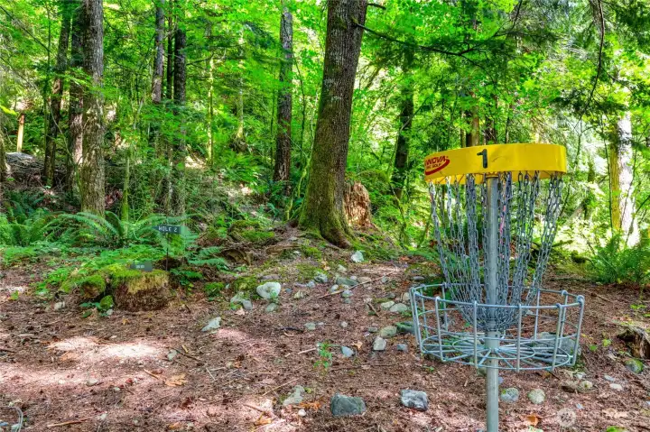 9-hole disc golf course in the forest near Riverside Lodge