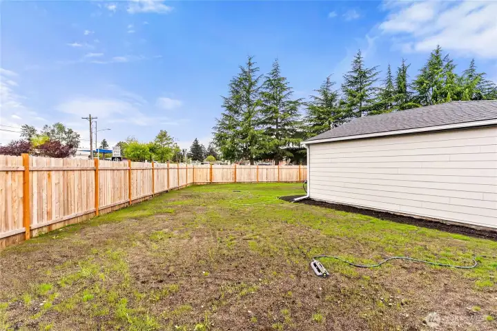 Backyard