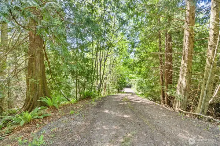 Driveway down to 1383 Gasman Rd