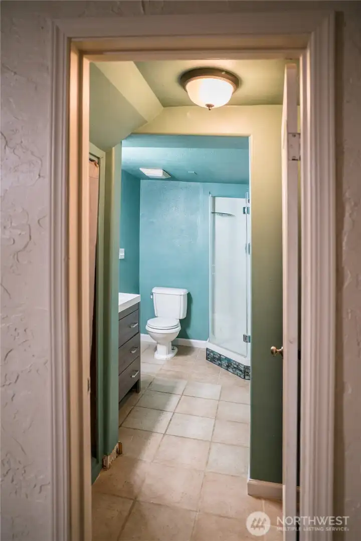 Lower Level Bathroom