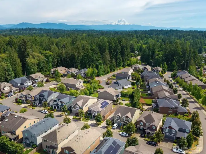 Wembley Park community. Notice Mt. Rainier.