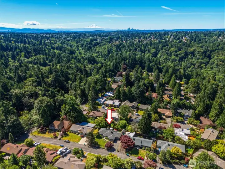 Ideally located near Puget Sound beaches, Carkeek Park, shopping, dining, & commuter routes, this move-in-ready home combines architectural character, modern comfort, & a sought-after Broadview location