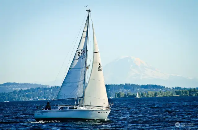 Sailing on Lake Washington