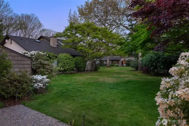This is the south facing view of the greenbelt from your back patio where you will enjoy the sun and serenity.
