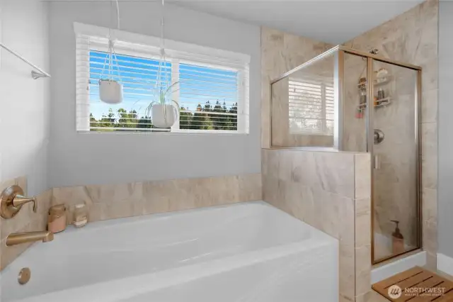 Primary bathroom and shower