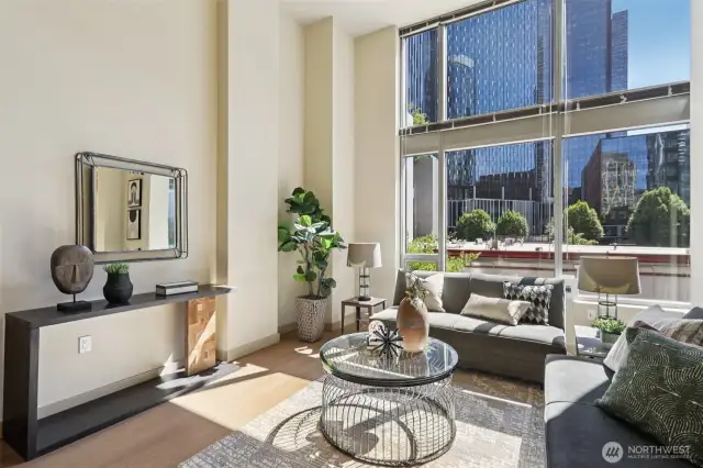 South West Facing Property with Oversize Windows