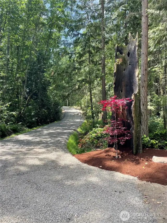 Entrance/ access to the property
