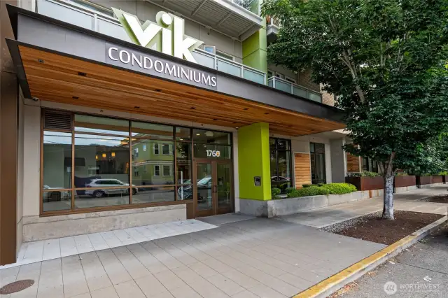 Welcome to the Vik