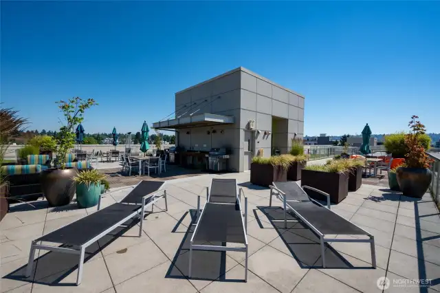expansive roof top deck with dog wash area, dog run and barbeque