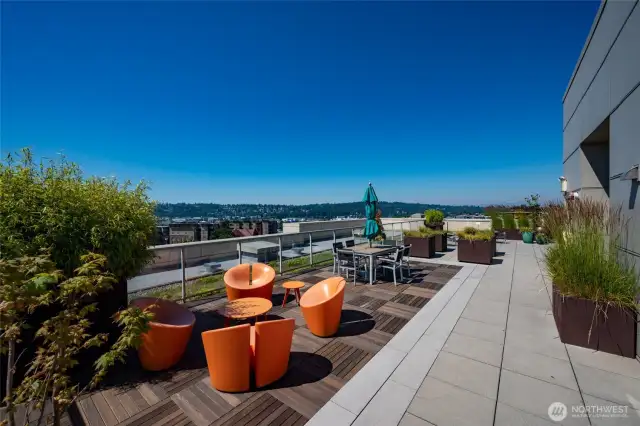 roof top