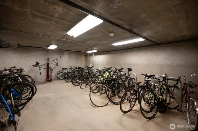 store your bike(s) without sacrificing your own living or storage space