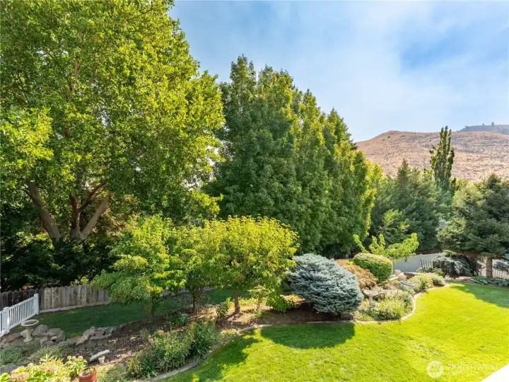 Beautiful Mature Landscaping