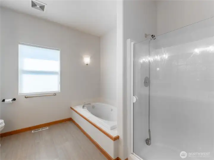Primary Soaking Tub and Shower
