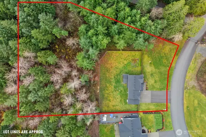 Approximate lot lines back up to protected native growth area