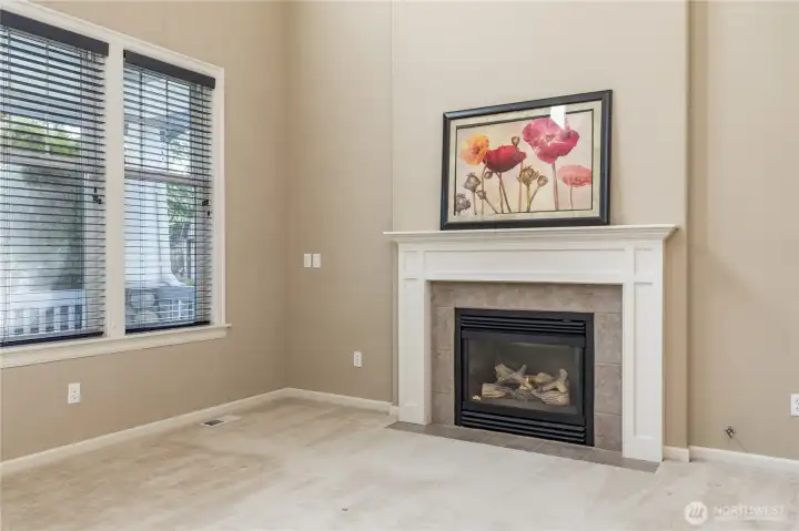 Gas fireplace in the living room