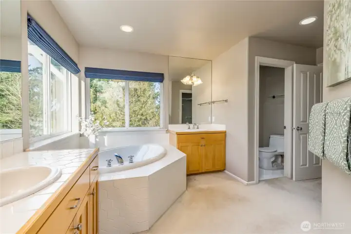 Soaking tub, walk-in closet and private toilet room