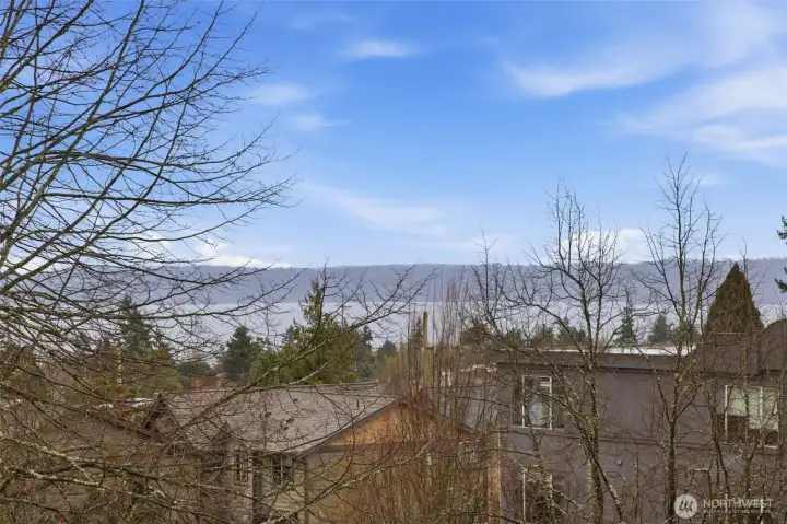 Views of the Sound from Primary suite on upper level.