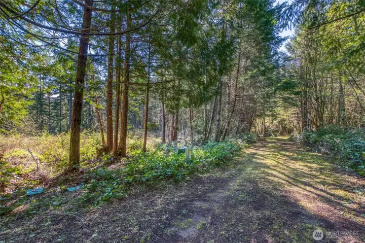 Established driveway with utilities