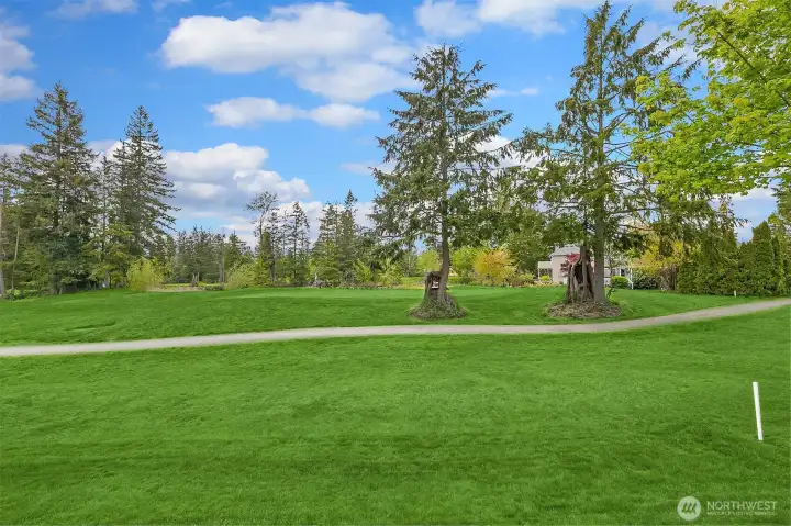 13th Green - just out the back door!