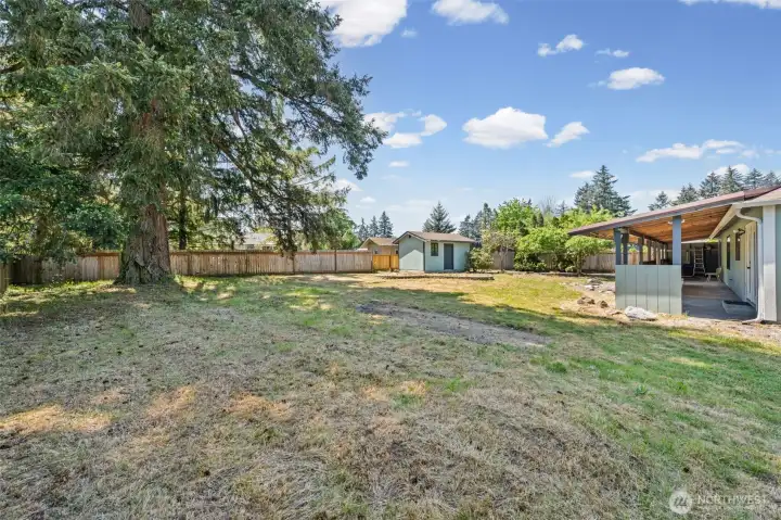 A backyard like this is a blank canvas, ready for gardens, entertaining spaces, play areas, or peaceful evenings under the stars.