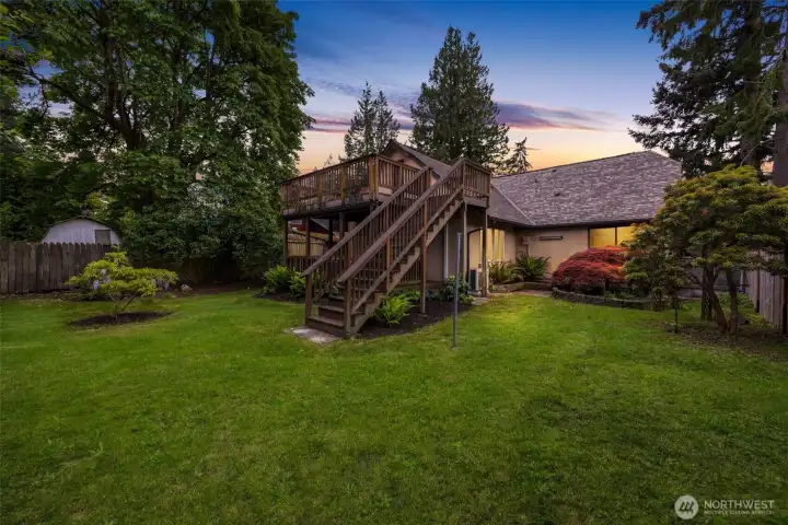 Beautiful landsacpe yard with Wisteria, Japanese Maple and fruit trees. Beautiful landsacpe yard with Wisteria, Japanese Maple and fruit trees.