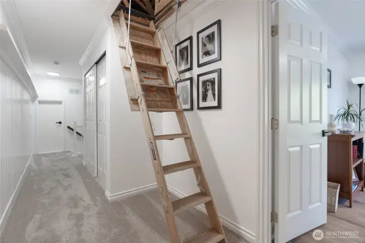Ladder to Attic