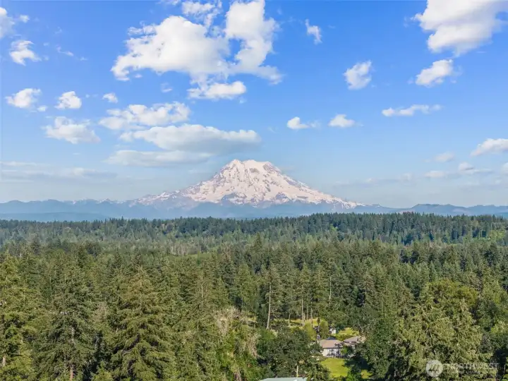 View of Mt Rainier