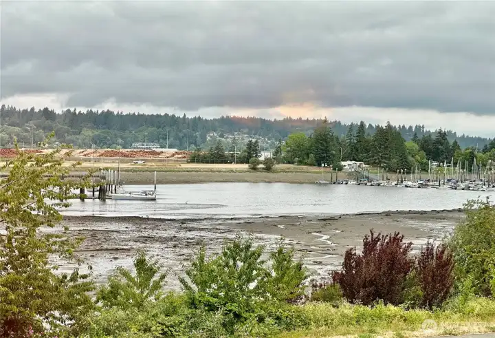 The View from the condo during low tide. The View from the condo during low tide.
