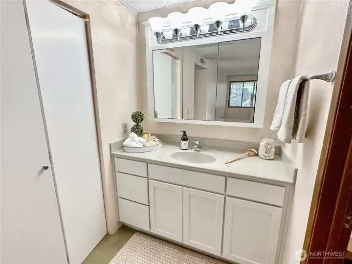View of the primary vanity with access to the walk-in closet on the left. View of the primary vanity with access to the walk-in closet on the left.