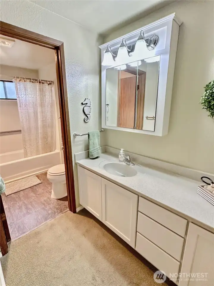 Updated hall bath. Updated hall bath.