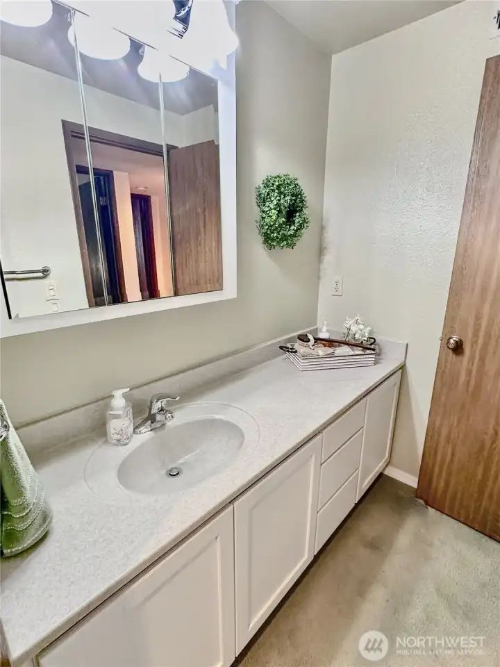 A closer look at the hall bath with updated vanity. A closer look at the hall bath with updated vanity.