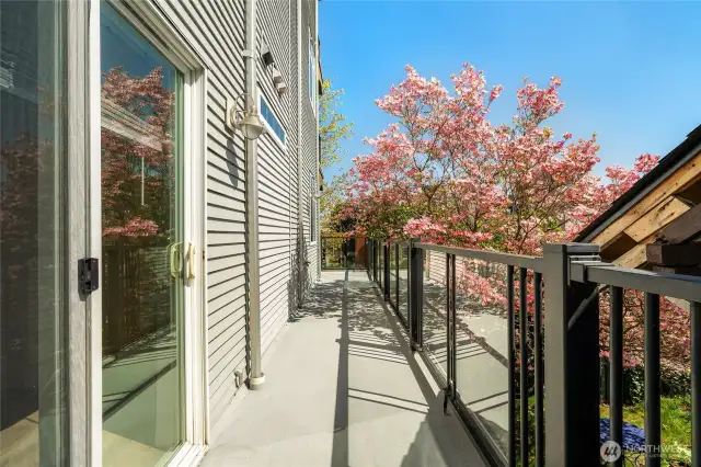 Look at your deck!