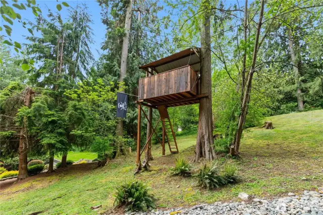 The TREE HOUSE!