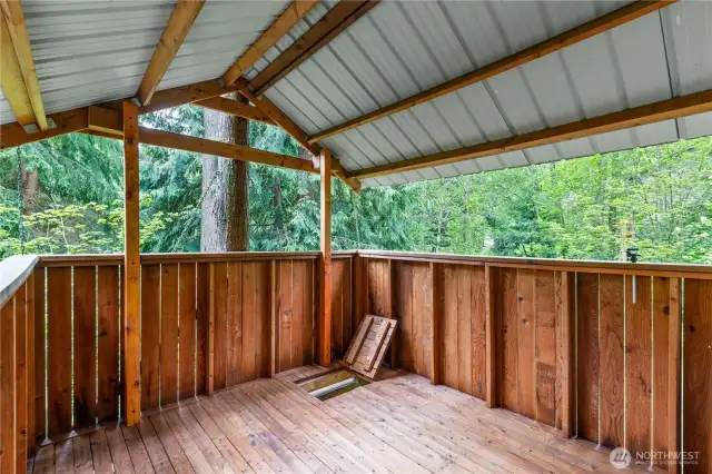 A view from inside the tree house...imagine what you can see from here