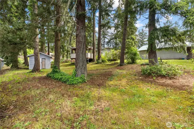 Multiple outbuildings and shops for storage spread throughout the shy half acre lot